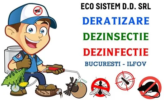 Servicii DDD Bucuresti