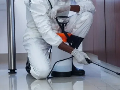 Servicii DDD Bucuresti