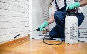 Servicii DDD Bucuresti