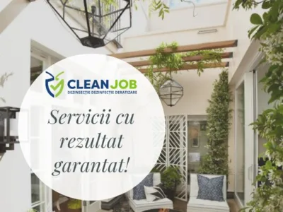 Dezinsectie - Dezinfectie - Deratizare - Bucuresti