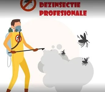 Dezinsectie - Dezinfectie - Deratizare - Bucuresti