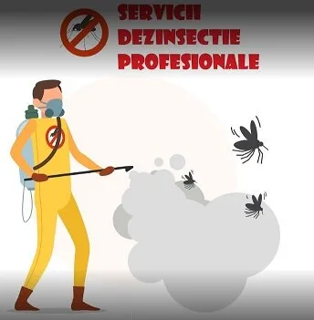 Dezinsectie - Dezinfectie - Deratizare - Bucuresti