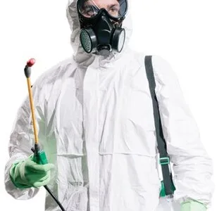 Servicii DDD Bucuresti