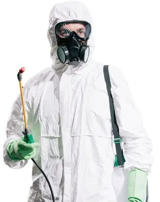 Servicii DDD Bucuresti