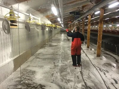 Servicii Ddd Bucuresti - Ilfov