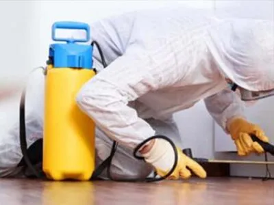 Servicii Ddd Bucuresti - Ilfov