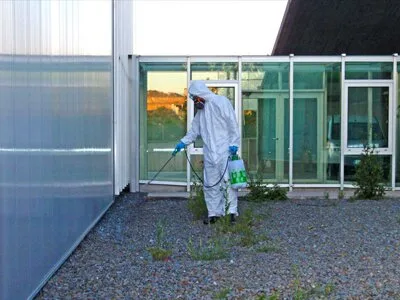 Servicii Ddd Bucuresti - Ilfov