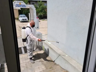 Dezinsectie - Dezinfectie - Deratizare Bucuresti