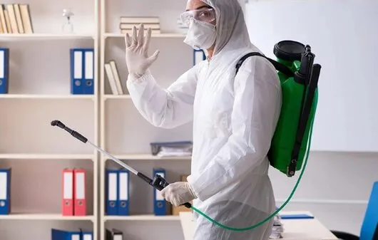 Servicii curatenie Bucuresti