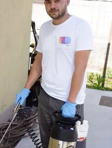 Servicii Dezinsectie - Dezinfectie - Deratizare Bucuresti si national