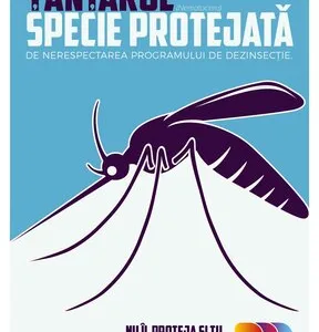 Servicii Dezinsectie - Dezinfectie - Deratizare Bucuresti si national