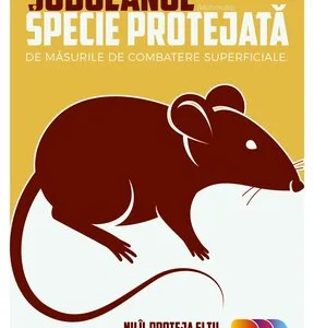 Servicii Dezinsectie - Dezinfectie - Deratizare Bucuresti si national