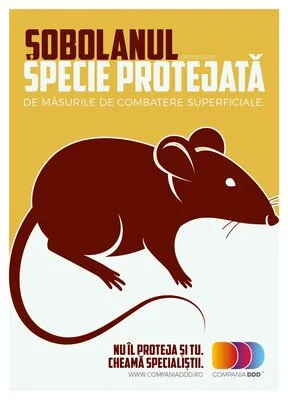 Servicii Dezinsectie - Dezinfectie - Deratizare Bucuresti si national