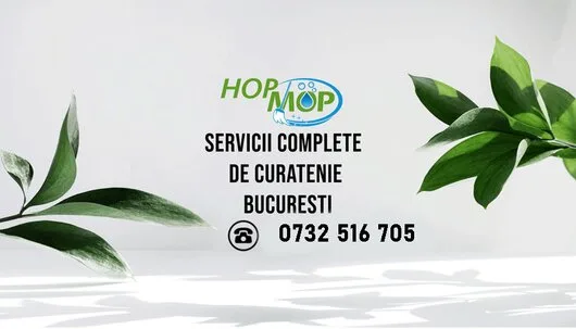 Curatenie la domiciliu Bucuresti