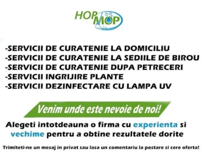 Curatenie la domiciliu Bucuresti