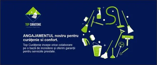 Servicii profesionale de curatenie