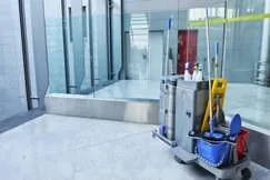 Servicii profesionale de curatenie