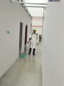 Deratizare / Dezinsectie / Dezinfectie Bucuresti si Ilfov