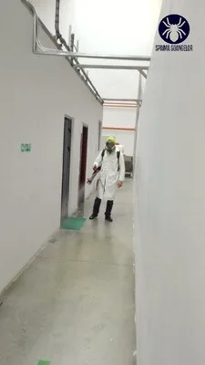 Deratizare / Dezinsectie / Dezinfectie Bucuresti si Ilfov