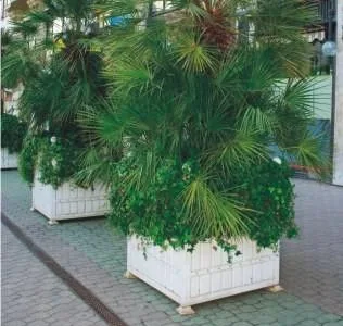 Baia Mare - Mobilier urban