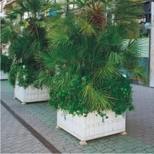 Baia Mare - Mobilier urban