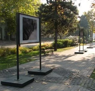 Baia Mare - Mobilier urban