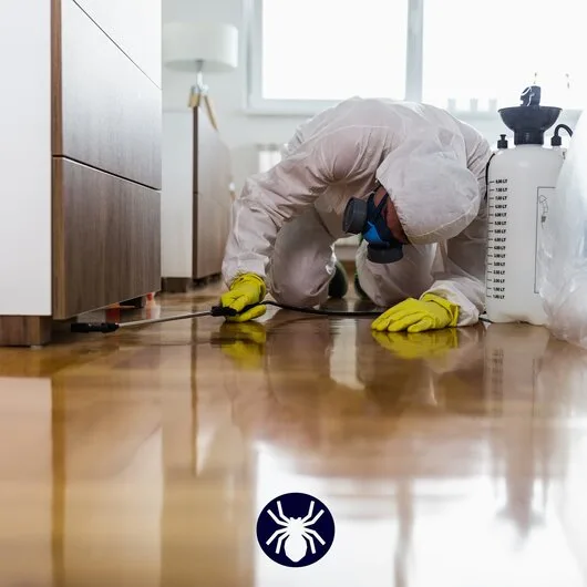 Deratizare / Dezinsectie / Dezinfectie Bucuresti si Ilfov