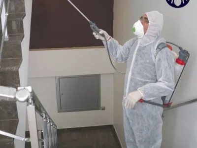 Deratizare / Dezinsectie / Dezinfectie Bucuresti si Ilfov