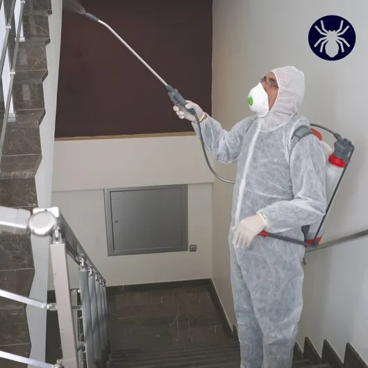 Deratizare / Dezinsectie / Dezinfectie Bucuresti si Ilfov