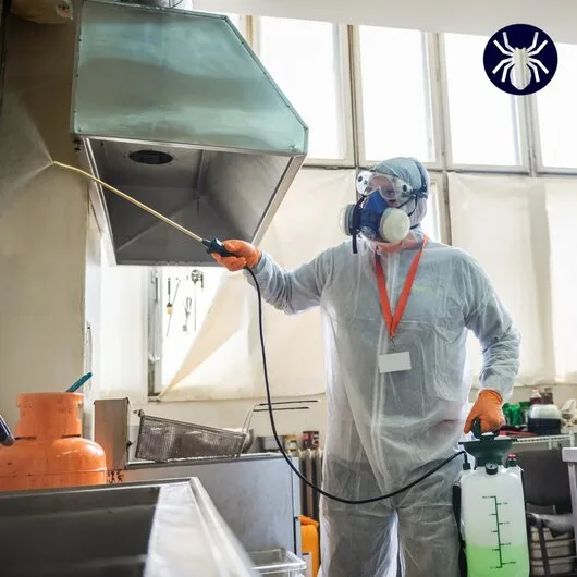 Deratizare / Dezinsectie / Dezinfectie Bucuresti si Ilfov