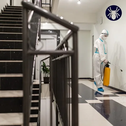 Deratizare / Dezinsectie / Dezinfectie Bucuresti si Ilfov