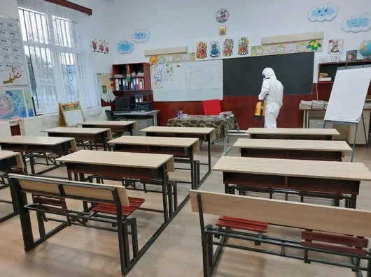 Deratizare / Dezinsectie / Dezinfectie Bucuresti si Ilfov