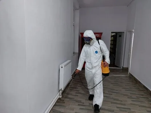 Deratizare / Dezinsectie / Dezinfectie Bucuresti si Ilfov