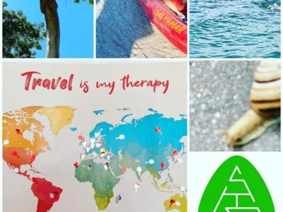 Delta SRS Broker de Asigurare -Reasigurare