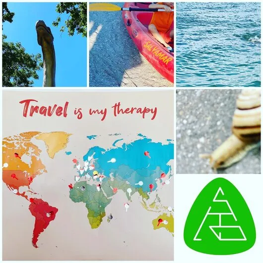 Delta SRS Broker de Asigurare -Reasigurare