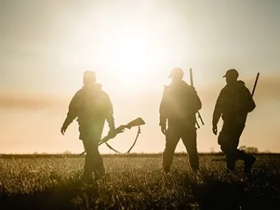 Delta SRS Broker de Asigurare -Reasigurare