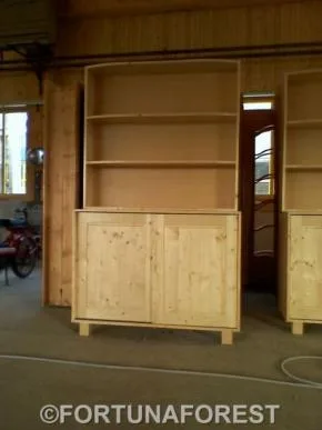 Producator de cherestea rasinoase - lambriuri - podele - ferestre si usi - Covasna