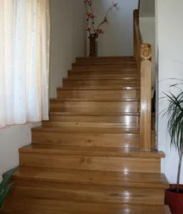 Producator de cherestea rasinoase - lambriuri - podele - ferestre si usi - Covasna