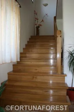 Producator de cherestea rasinoase - lambriuri - podele - ferestre si usi - Covasna