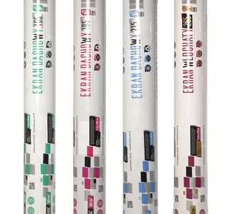 Acoperisuri din tigle metalice - Baicoi / Prahova