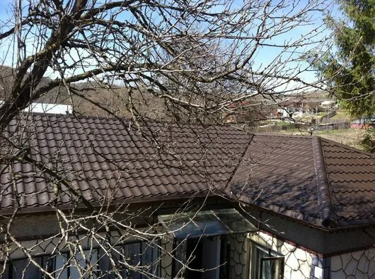 Montaj si reparatii acoperisuri Prahova
