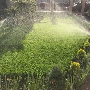 El Jardin de Daniel Servicii complete de amenajare peisagistica
