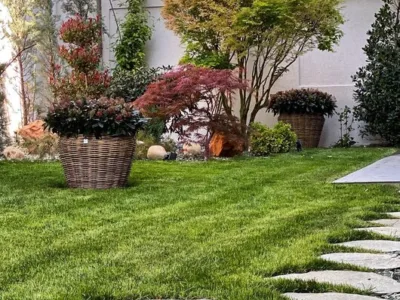 El Jardin de Daniel Servicii complete de amenajare peisagistica