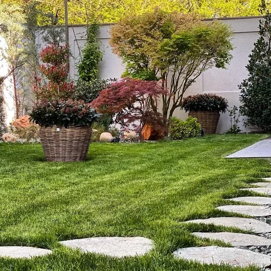 El Jardin de Daniel Servicii complete de amenajare peisagistica