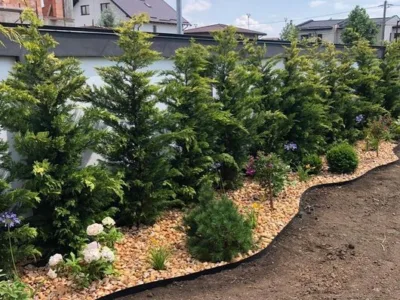 El Jardin de Daniel Servicii complete de amenajare peisagistica