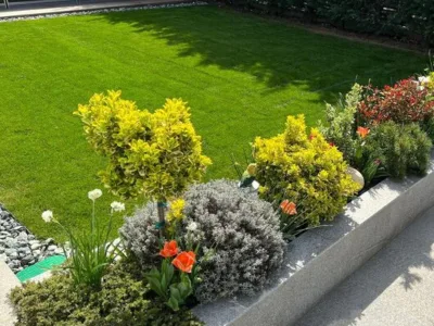 El Jardin de Daniel Servicii complete de amenajare peisagistica