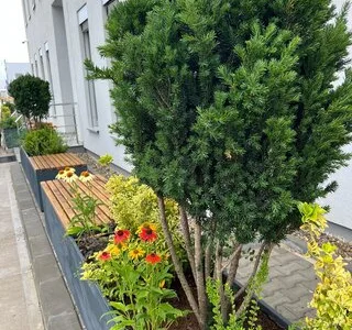 El Jardin de Daniel Servicii complete de amenajare peisagistica