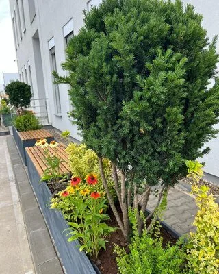 El Jardin de Daniel Servicii complete de amenajare peisagistica