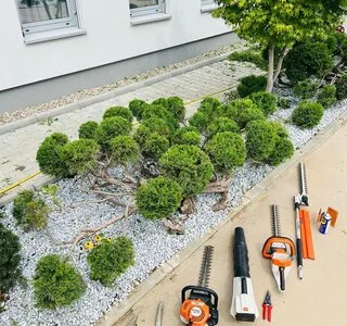 El Jardin de Daniel Servicii complete de amenajare peisagistica