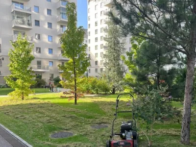 El Jardin de Daniel Servicii complete de amenajare peisagistica